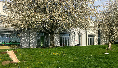 Außengebäude und Rasenfläche der Kita Kleine Riesen Magdeburg